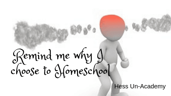 Remind me why I choose to homeschool