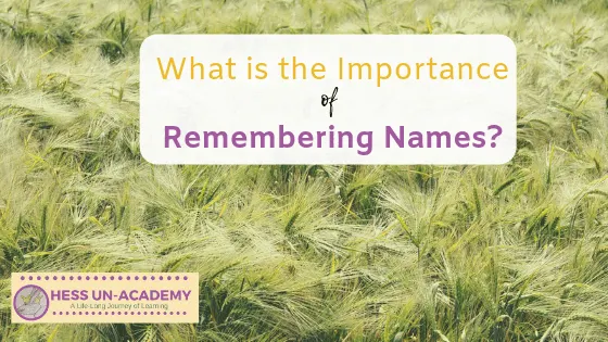 What is the importance of remembering names? Why is remembering names so important?