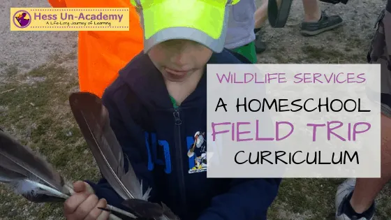 Wildlife Services Homeschool Field Trip Curriculum. 30-page PDF unit studies to teach your kids about USDA wildlife services. Homeschool unit studies curriculum