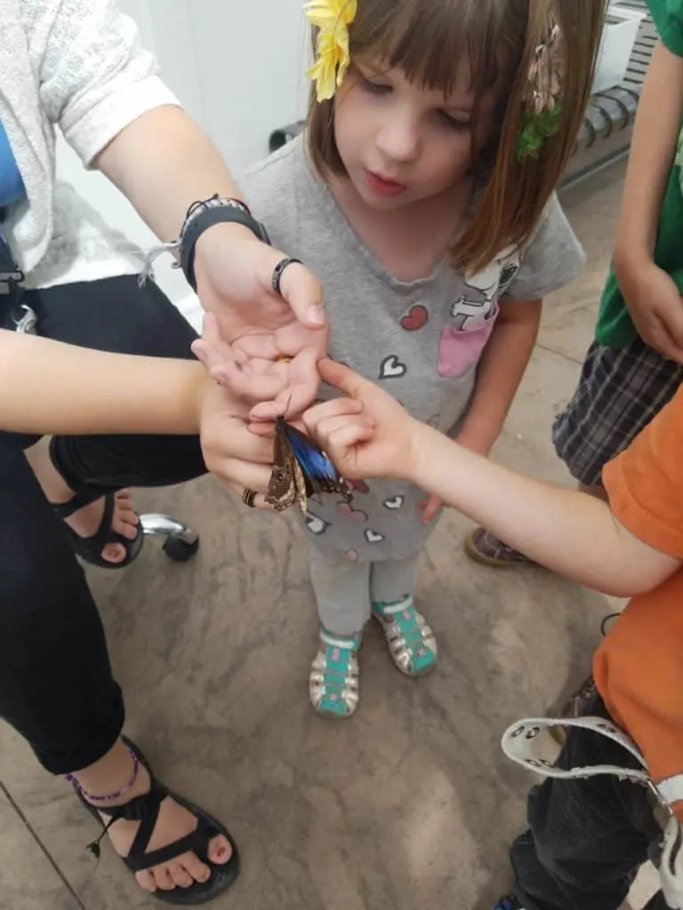 Educational Thanksgiving Point Activities and Events 16 little girl holding a butterfly at the Butterfly Biosphere at Thanksgiving Point in Lehi, UT