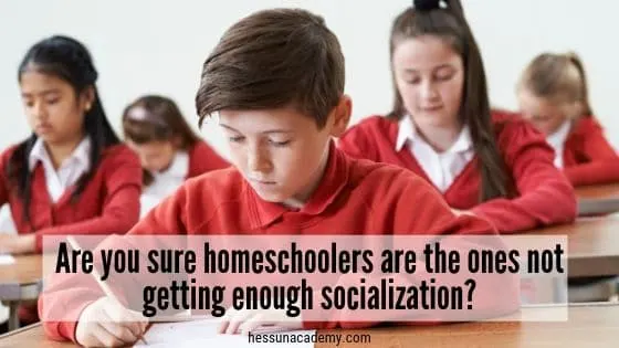 The Best Funny Homeschool Quotes and Memes (2025 Update) 41 inspiring homeschool quote about unsocialized homeschool kids