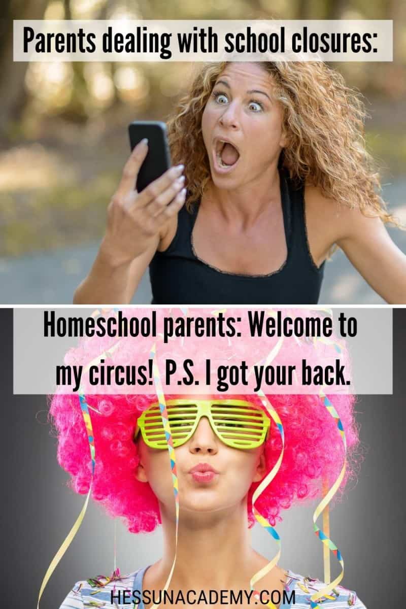 coronavirus-homeschool-meme-funny | Hess Un-Academy