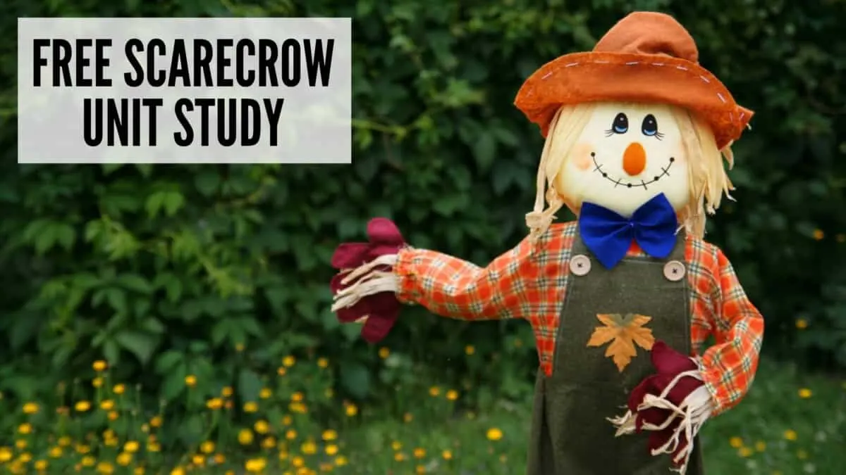 Free scarecrow unit study featuring a scarecrow in a corn field