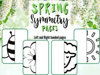 Free spring symmetry pages
