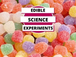 pile of gum drops to be used in an edible science experiment for kids