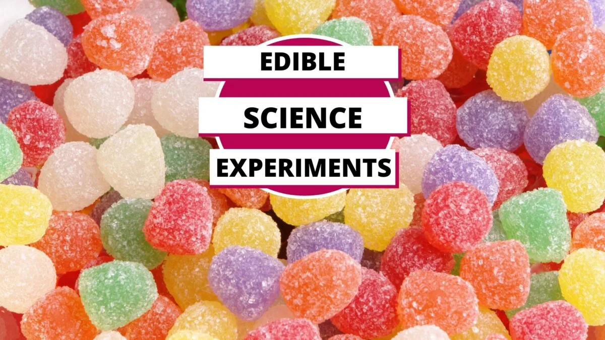 Homeschool Help with Hess UnAcademy 3 pile of gum drops to be used in an edible science experiment for kids