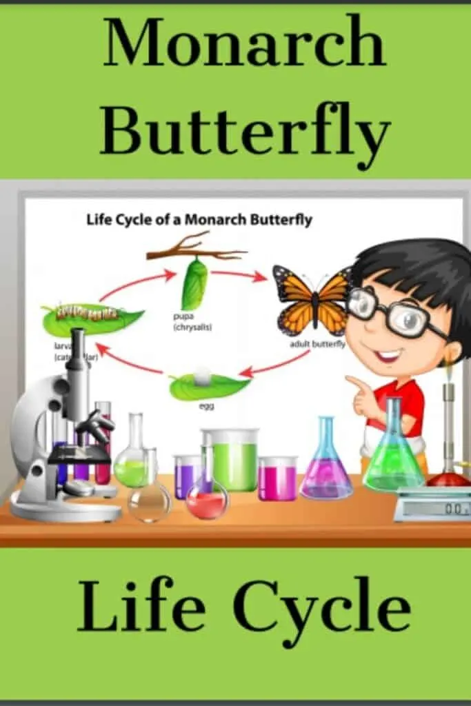 Butterfly Learning Bundle - Special Offer 2 Monarch butterfly life cycle study for kids