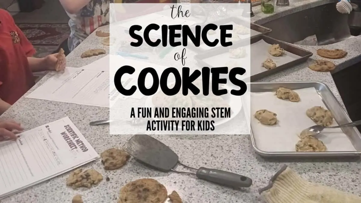 Homeschool Help with Hess UnAcademy 20 different cookies and worksheets laid out on the counter for a science of cookies STEM activity