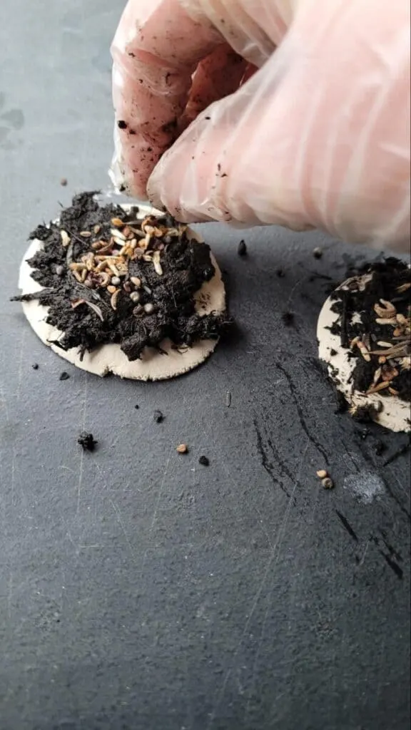 Fun and Educational Bee Activities for Kids | How to be a Superhero for Bees 2 little girl hand putting wildflower seeds into a homemade seed bomb