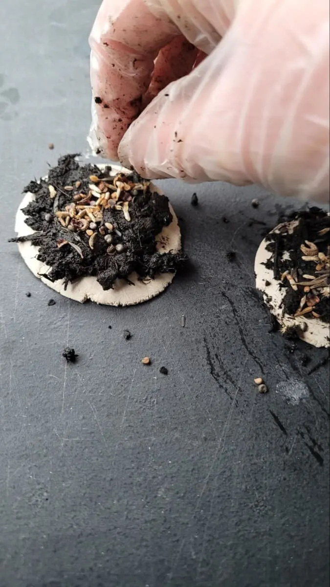 DIY Seed Bomb STEM Project for Kids 6 little girl hand putting wildflower seeds into a homemade seed bomb