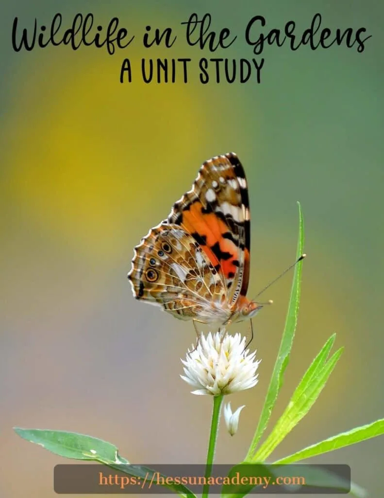 Wildlife in the Gardens Unit Study 1 If you want to teach your kids about gardening, pollinators, beneficial and harmful insects, and everything else that involves the great outdoors, take a look at this wildlife in the gardens unit study! Only $9