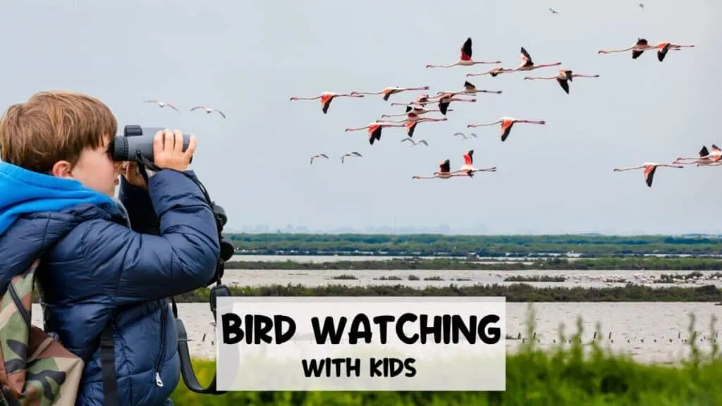 little boy with binoculars doing some bird watching with kids