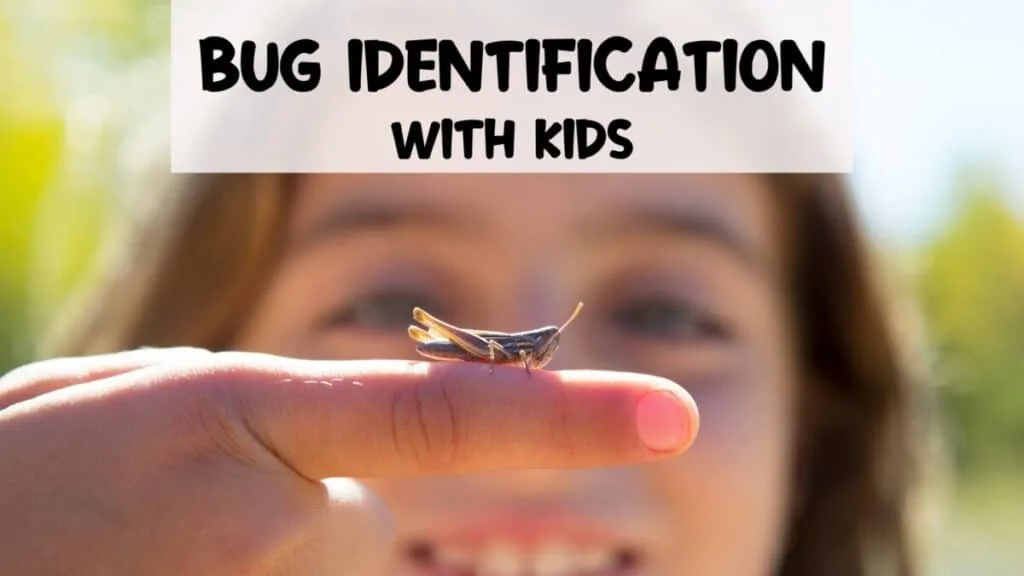 9 Quick STEM Activities & Projects 5 little girl with a bug on her finger practicing bug identification with kids