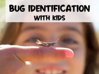 little girl with a bug on her finger practicing bug identification with kids