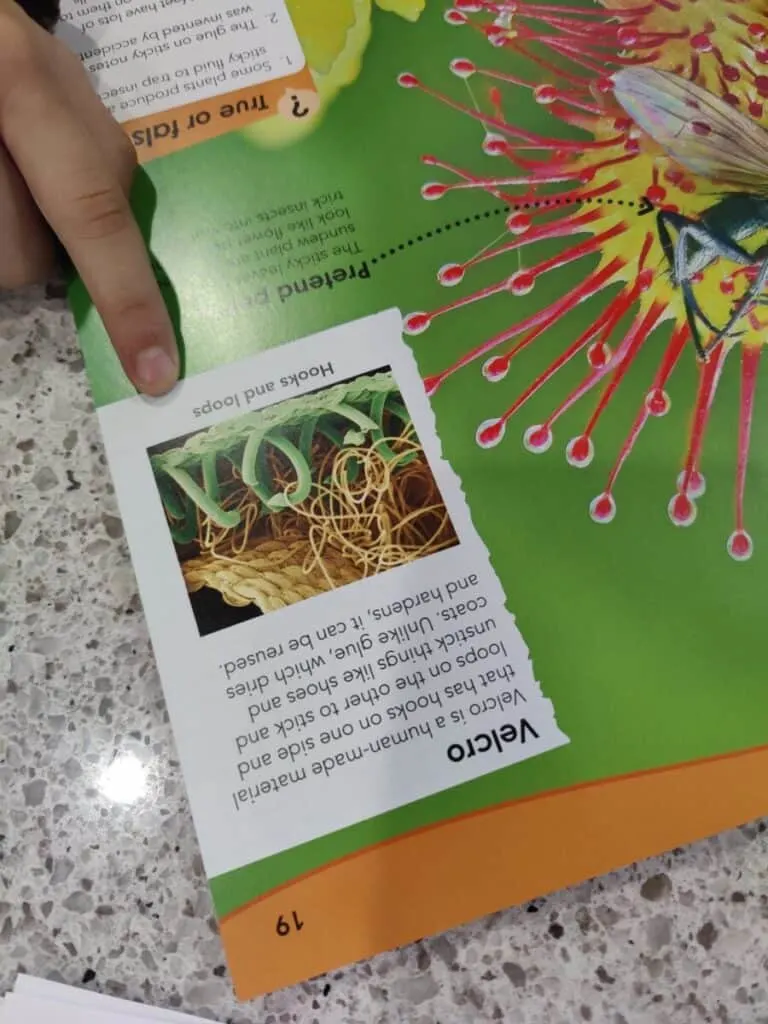 BookShark | A Science Curriculum with Engaging, Hands-on Experiments 4 open page from a fun BookShark science curriculum children's book on velcro in nature