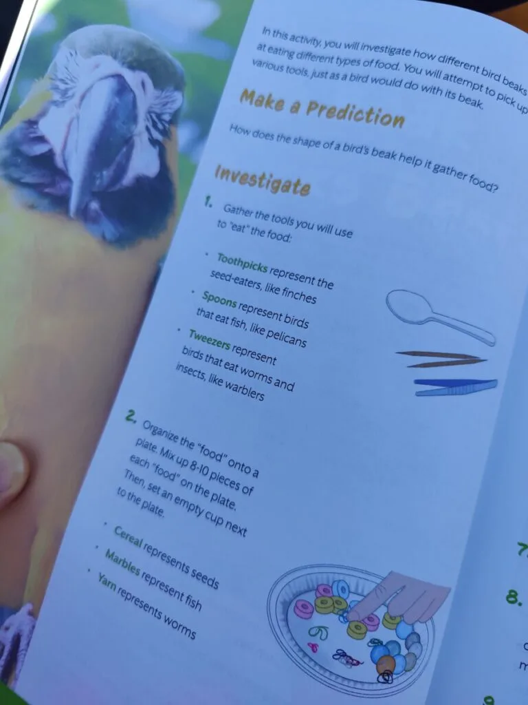 BookShark | A Science Curriculum with Engaging, Hands-on Experiments 7 open page of the BookShark science experiment book