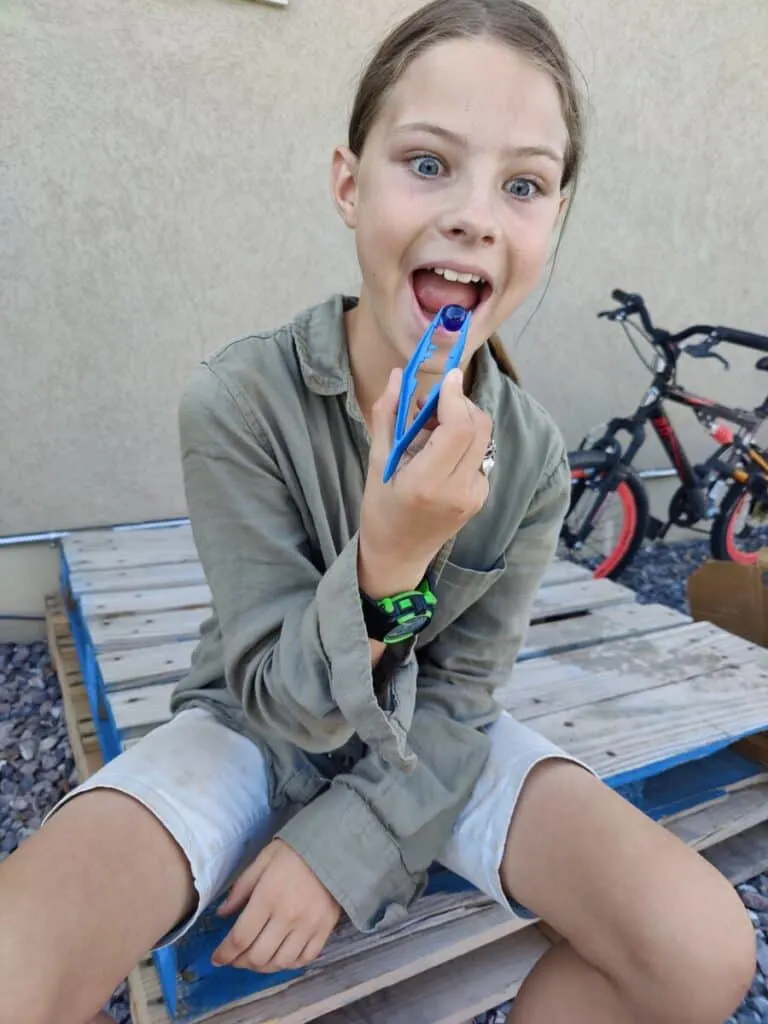 BookShark | A Science Curriculum with Engaging, Hands-on Experiments 8 young homeschooled girl holding tweezers and a marble to her mouth as part of a hands-on science project