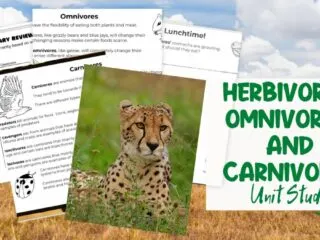 preview of the pages included in the herbivores, omnivores, and carnivores unit study