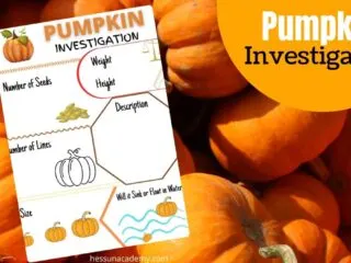 free pumpkin investigation activity printable