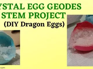 Borax crystal egg shells (DIY dragon eggs)