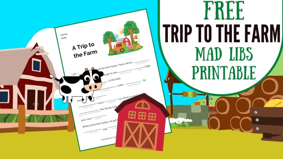 Free Summer Mad Libs Printables For Kids - Hess Un-Academy