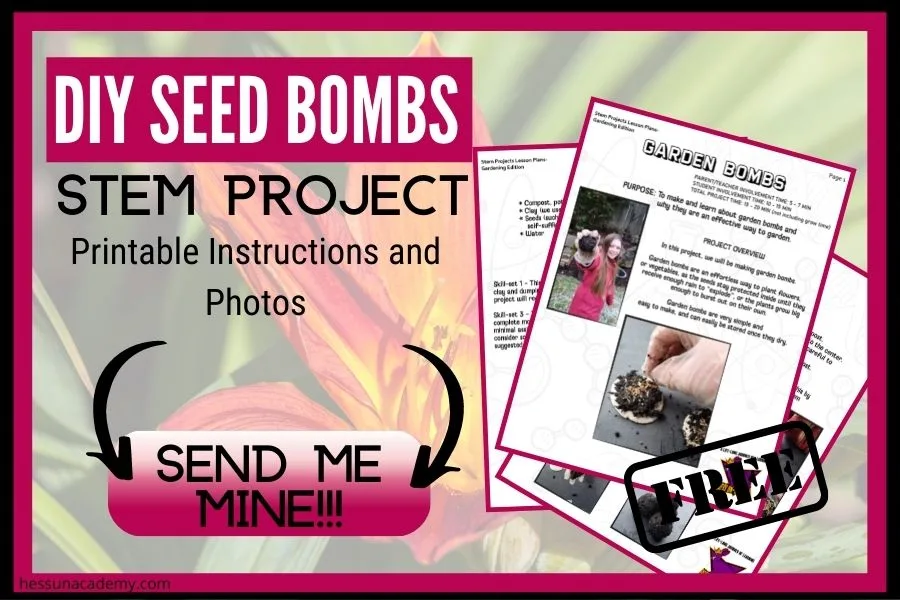 DIY Seed Bomb STEM Project for Kids 2 DIY Seed Bomb STEM Project for Kids 3