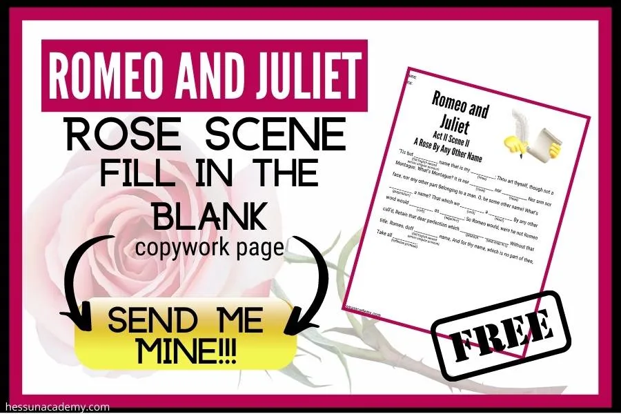 Free Romeo and Juliet Rose Scene Mad Lib 2 preview of the free romeo and juliet rose scene mad libs printable for middle school students