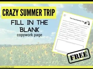 preview of the free summer mad libs