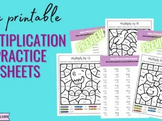 preview of some fun multiplication practice sheets