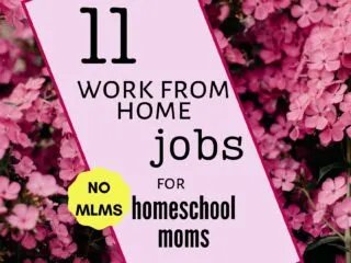 banner with pink flower background that says 11 work from home jobs for homeschool moms
