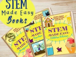 preview of the STEM made easy books