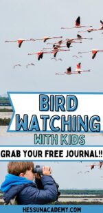 Free Bird Watching Journal For Kids - Hess UnAcademy