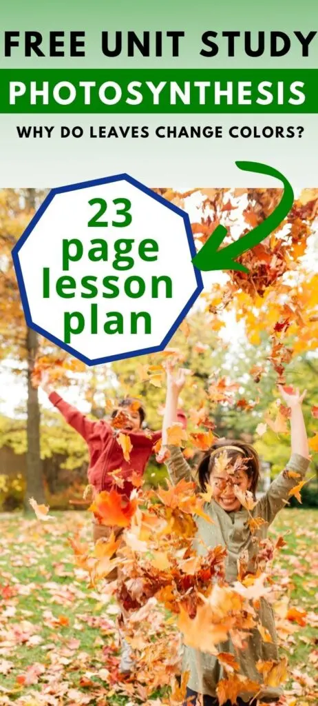 Free Photosynthesis Lesson Plan | A Fall Unit Study For Elementary Kids 24 Free Photosynthesis Lesson Plan | A Fall Unit Study For Elementary Kids 4