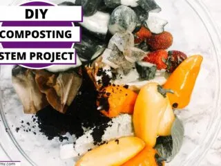 green materials being used in a DIY compost bin