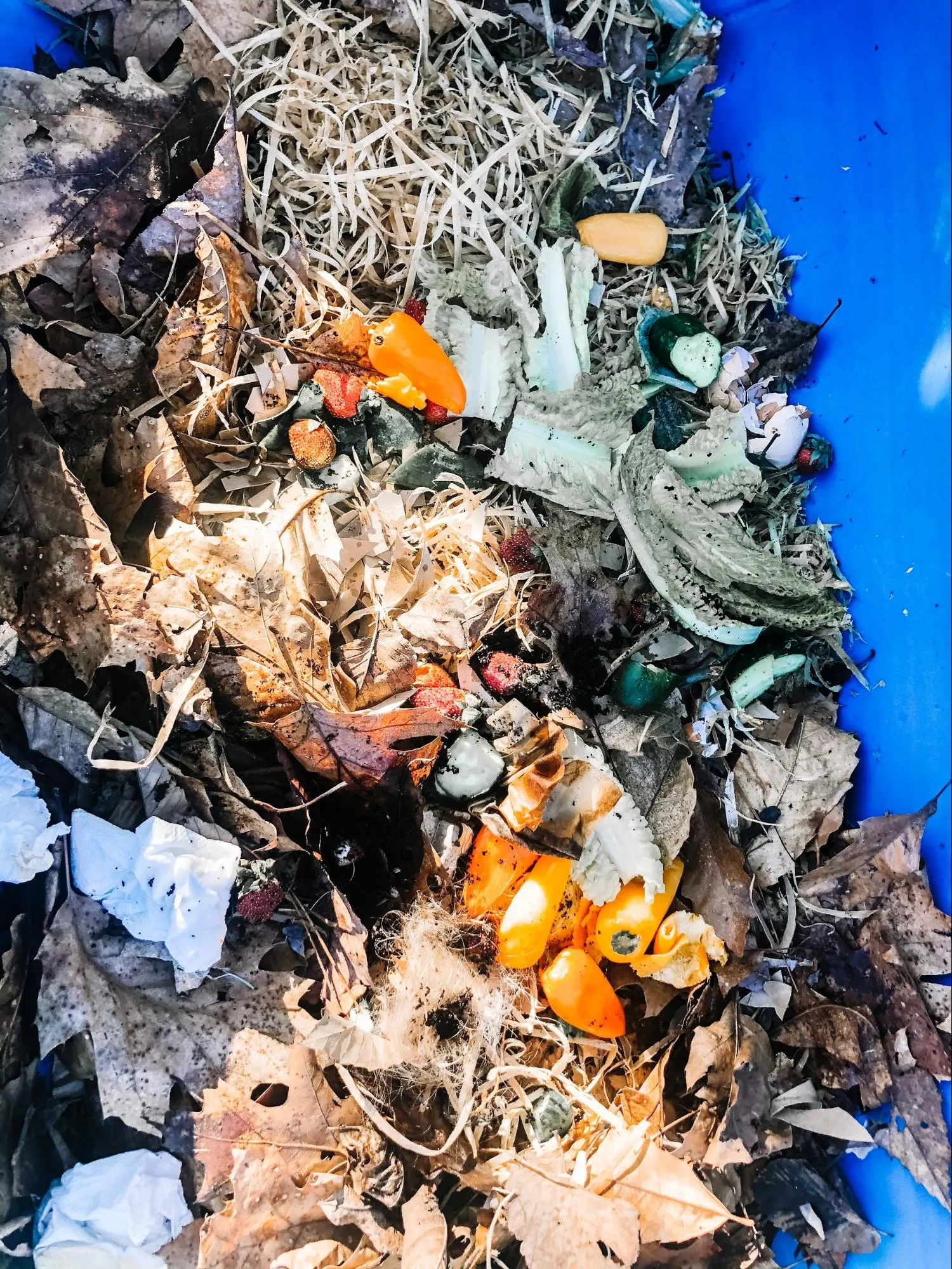 DIY Composting STEM Project | How To Compost 18 nearly finished DIY compost bin