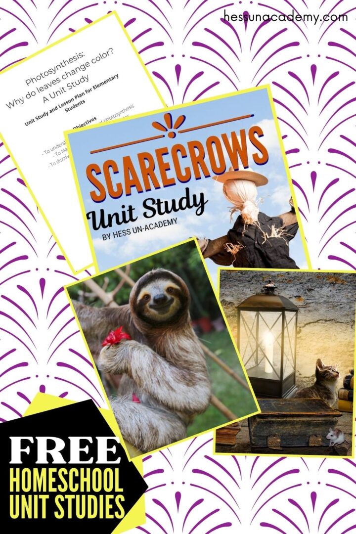 Free Homeschool Unit Studies - Hess UnAcademy