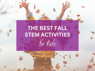 fall stem activities