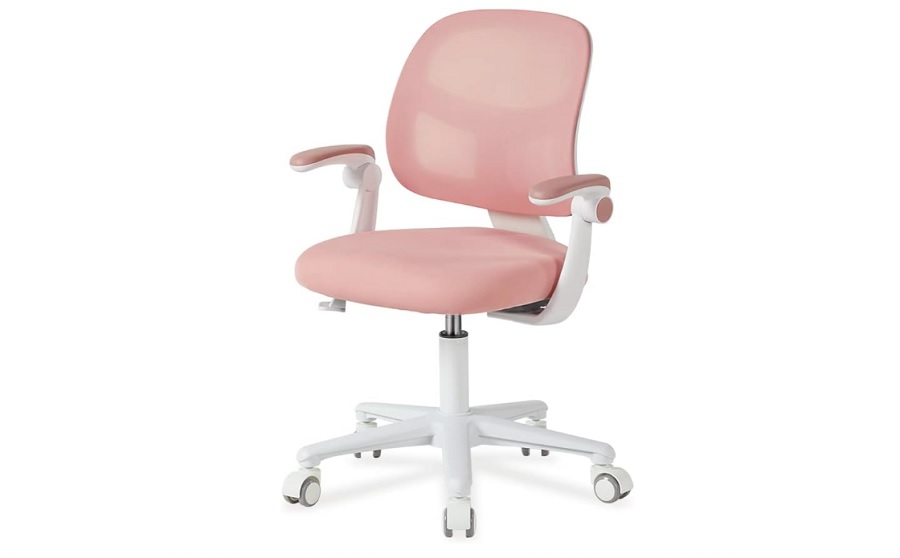 Fun & Inspiring Homeschool Classroom Furniture Ideas for Every Budget 6 dioshome chair