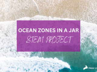 ocean zones in a jar