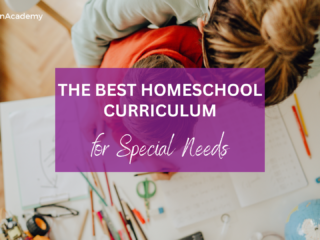 homeschool curriculum for special needs