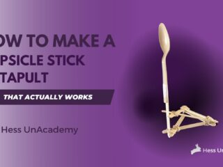 Popsicle Stick Catapult