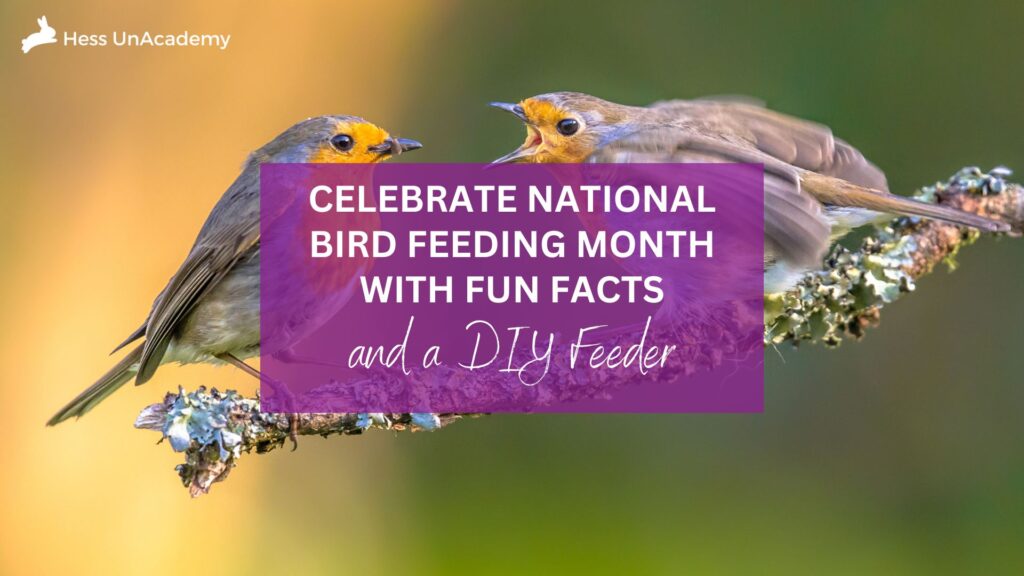 Celebrate National Bird Feeding Month with Fun Facts and a DIY Feeder 1 Celebrate National Bird Feeding Month with Fun Facts and a DIY Feeder 2