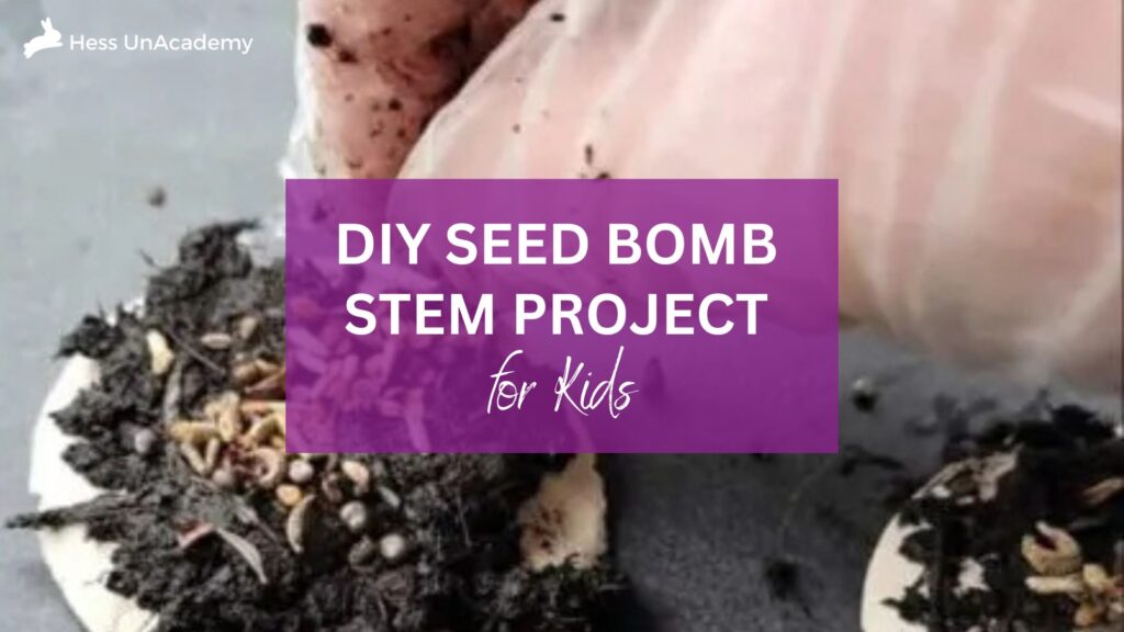DIY Seed Bomb STEM Project for Kids 1 DIY Seed Bomb STEM Project for Kids 2