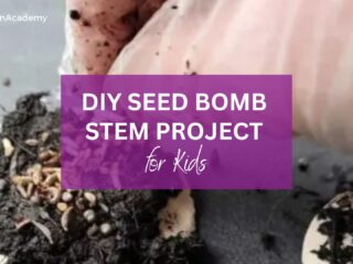 DIY Seed bomb STEM