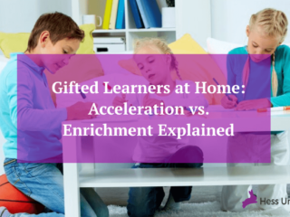 High-resolution illustration for Acceleration vs. Enrichment for Gifted Learners at Home