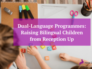 High-resolution illustration showing Dual-Language Programmes for Bilingual Children learning from reception up