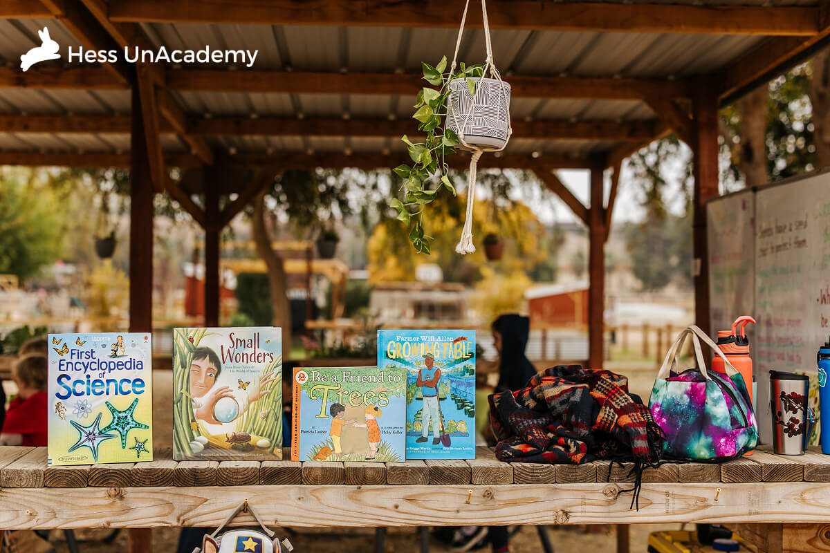 outsiders-adventure-nature-learning.jpg A New Way Forward: Why Outsiders Adventure Education is a Banner of Hope for Homeschooling Families 4