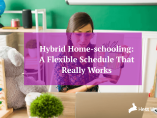 High‑resolution illustration for Hybrid Home‑schooling: A Flexible Schedule That Really Works