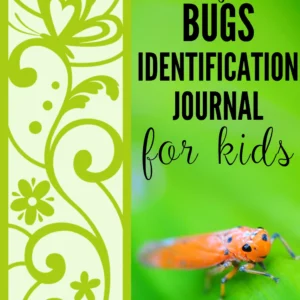 Backyard Bug Identification Journal for Kids