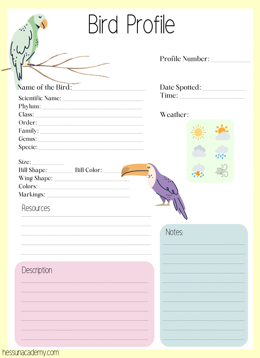 Another Bird Watching Journal (Science) 3 Another Bird Watching Journal (Science) - Image 3